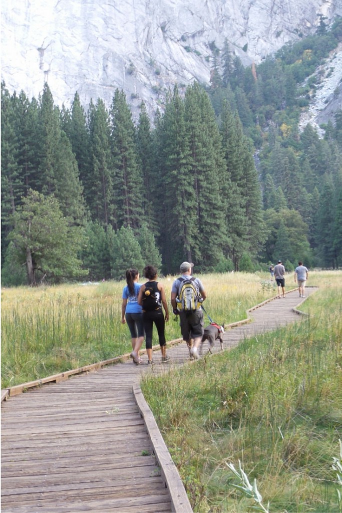 Yosemite National Park: Hiking through a meadow. | California Road Trip | confettiandbliss.com