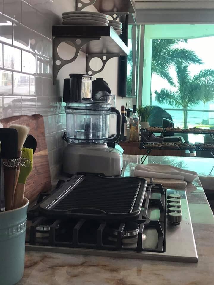 Image of kitchen stovetop and food processor with a view of palm trees outside.