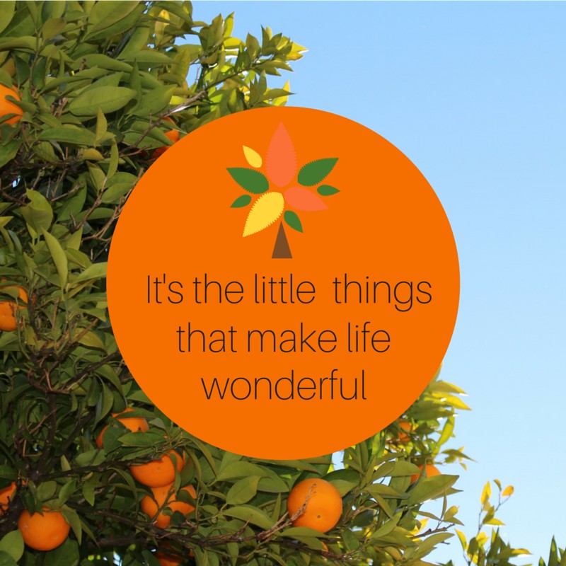 Quotes - It's the little things