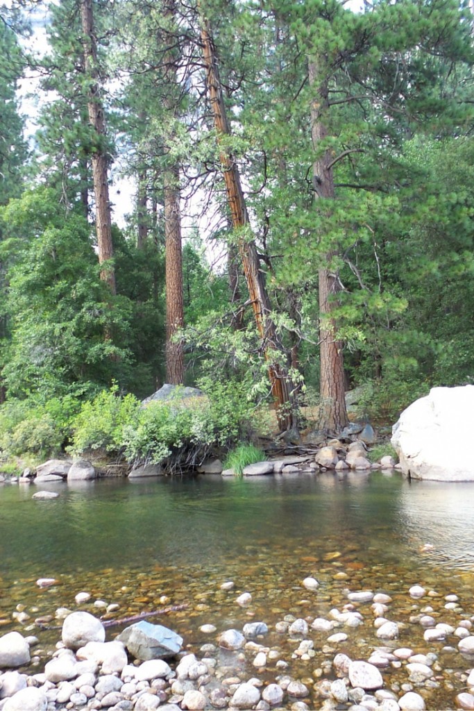 A beautiful river in Yosemite National Park | A California Road Trip | confettiandbliss.com