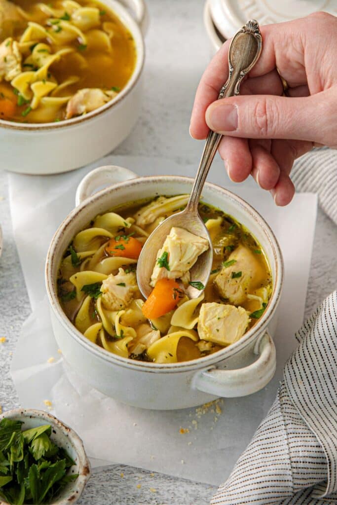 A serving of chicken noodle soup in a double-handled soup bowl with spoon.