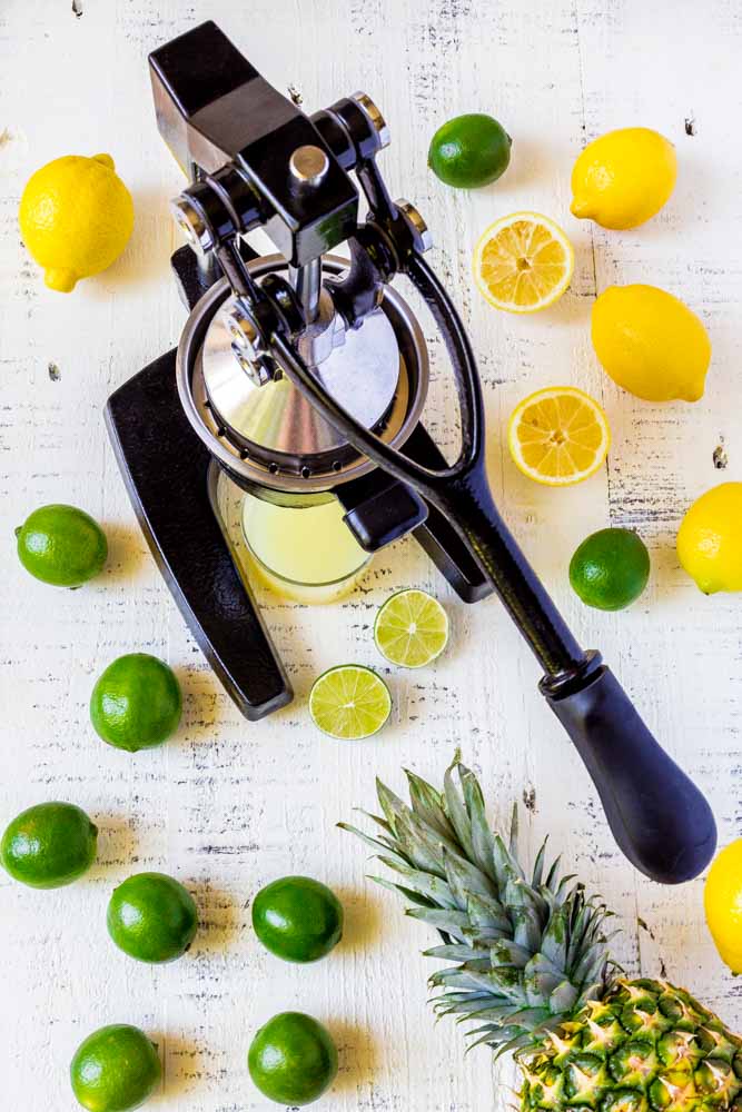 Squeezing lemons and limes with a citrus press to make party punch.