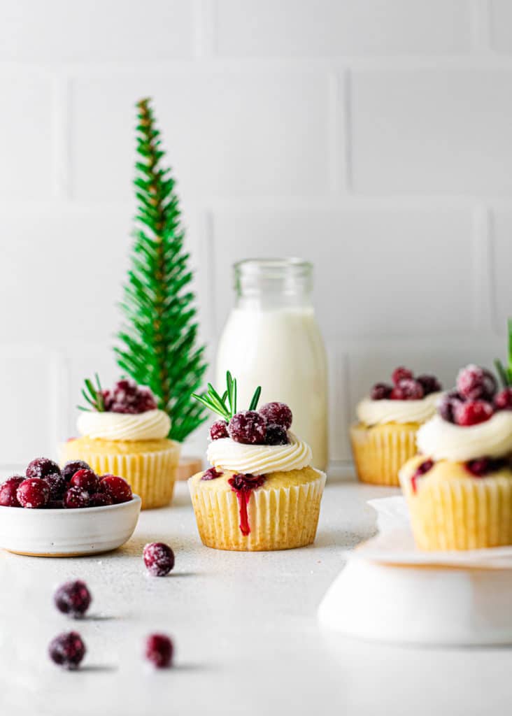 Cranberry cupcakes garnished with buttercream frosting, sugared cranberries plus a sprig of rosemary for a pop of color.