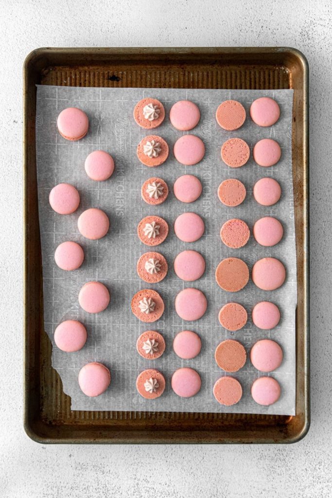 Assembling pink Valentine's Day Raspberry Macarons. Piping filling on half the shells.