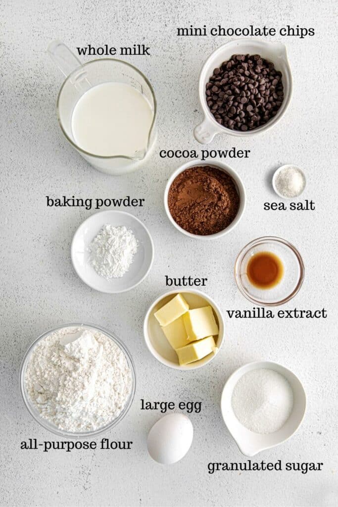 Ingredients for homemade IHOP Chocolate Chocolate Chip Pancakes.