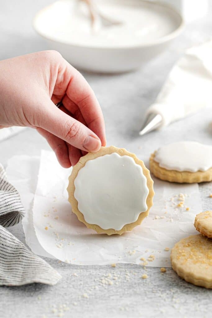 A hand holding up a cookie decorated with royal icing.