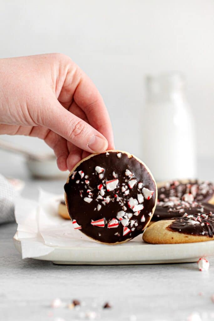 A hand holding a peppermint bark cookie.