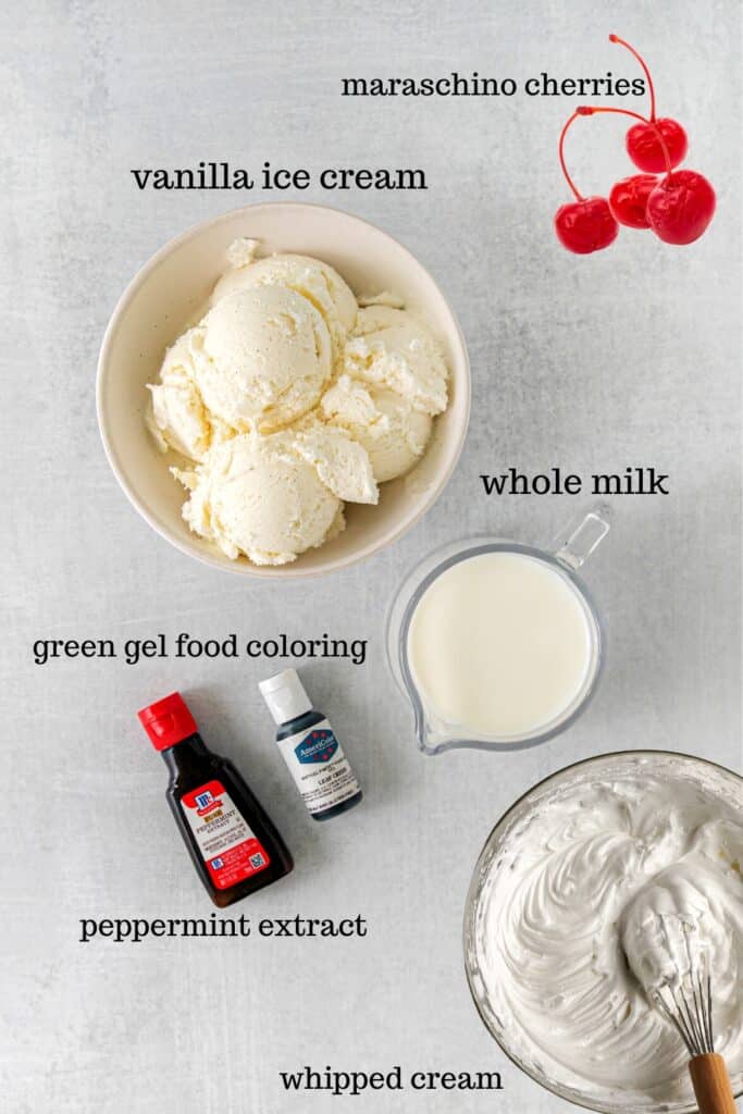 Ingredients for a homemade shamrock shake.