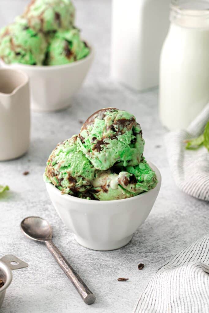 Mint chocolate chip ice cream served in a dessert cup with a spoon.
