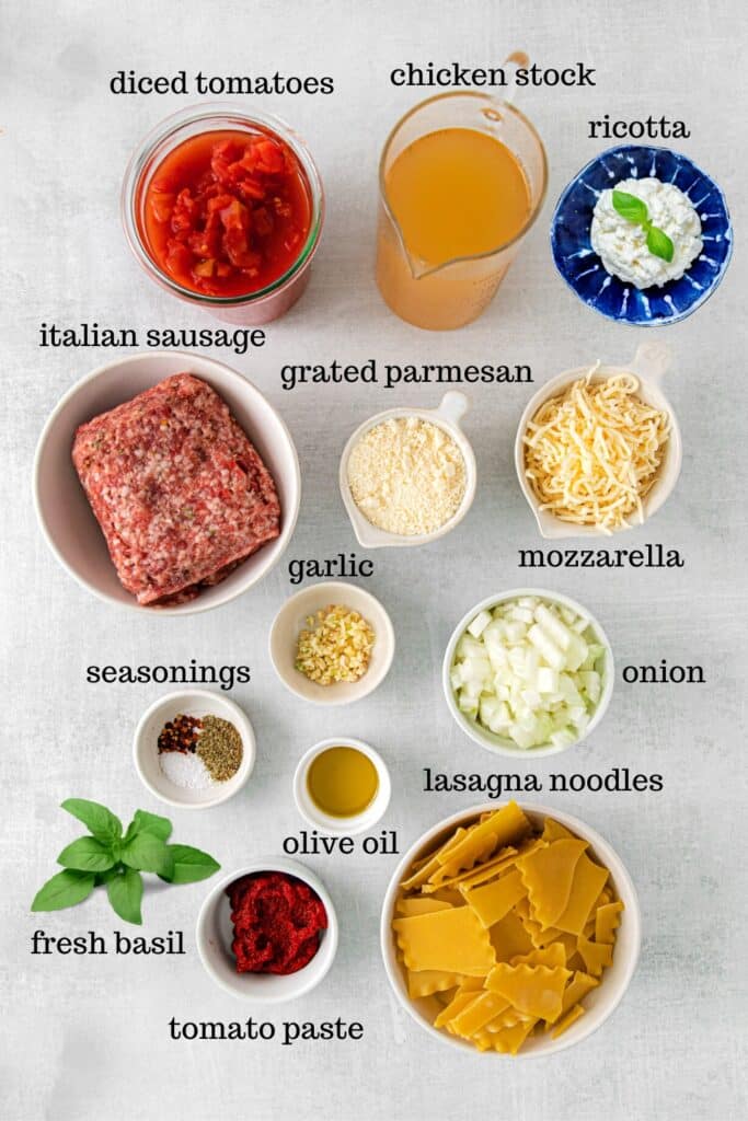 Ingredients for easy lasagna soup recipe.