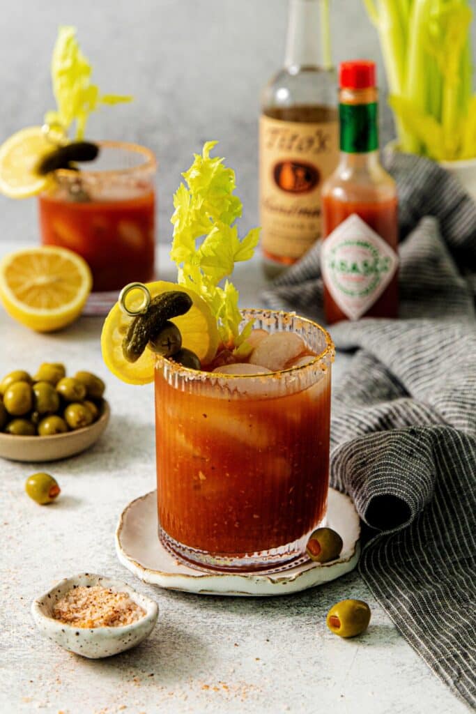 Bloody Mary Mix served over ice in a glass with tangy garnishes.